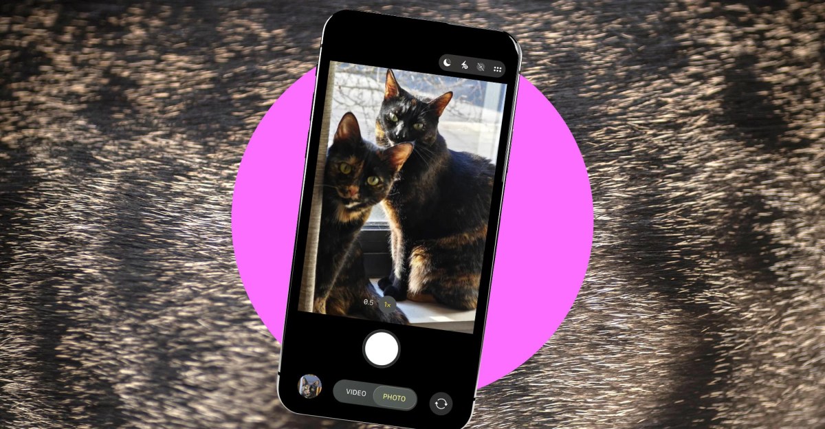 เทคนิคถ่ายรูปสัตว์เลี้ยงให้ดูดี: จากมือถือถึงไฟสตูดิโอ