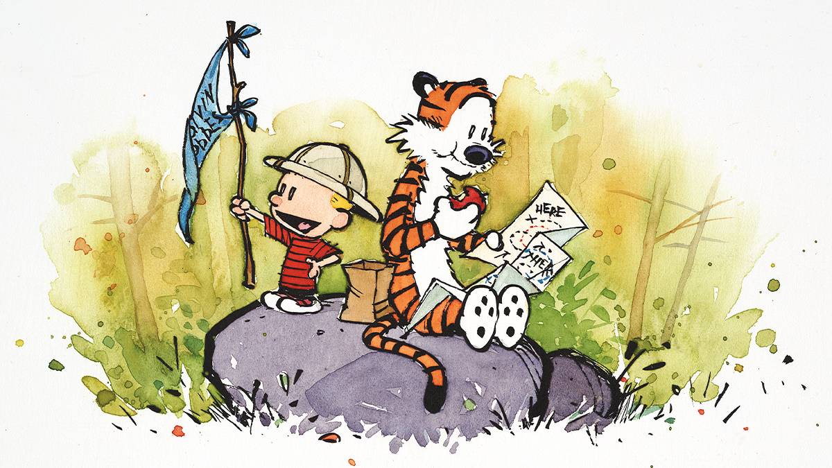 ทำไม panel เดียวจาก Calvin and Hobbes (9 พ.ย. 1994) จึงเรียกได้ว่าเป็นโมเมนต์ดีที่สุด