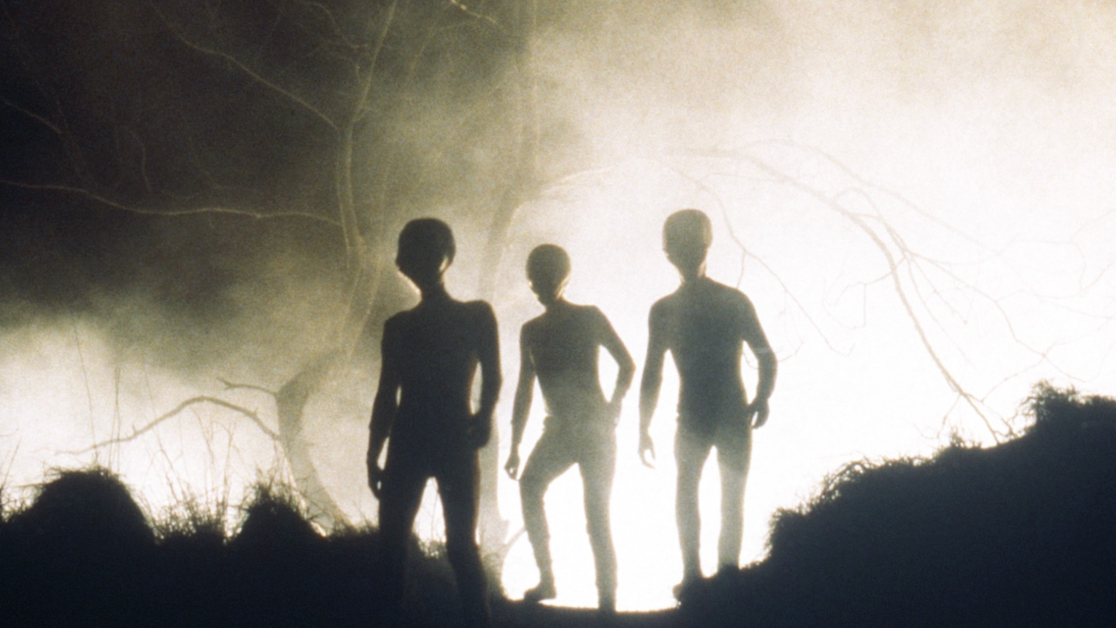 ซีรีส์ The X-Files ยุค 90 เล่นฟรีบน Pluto TV หลัง 33 ปี
