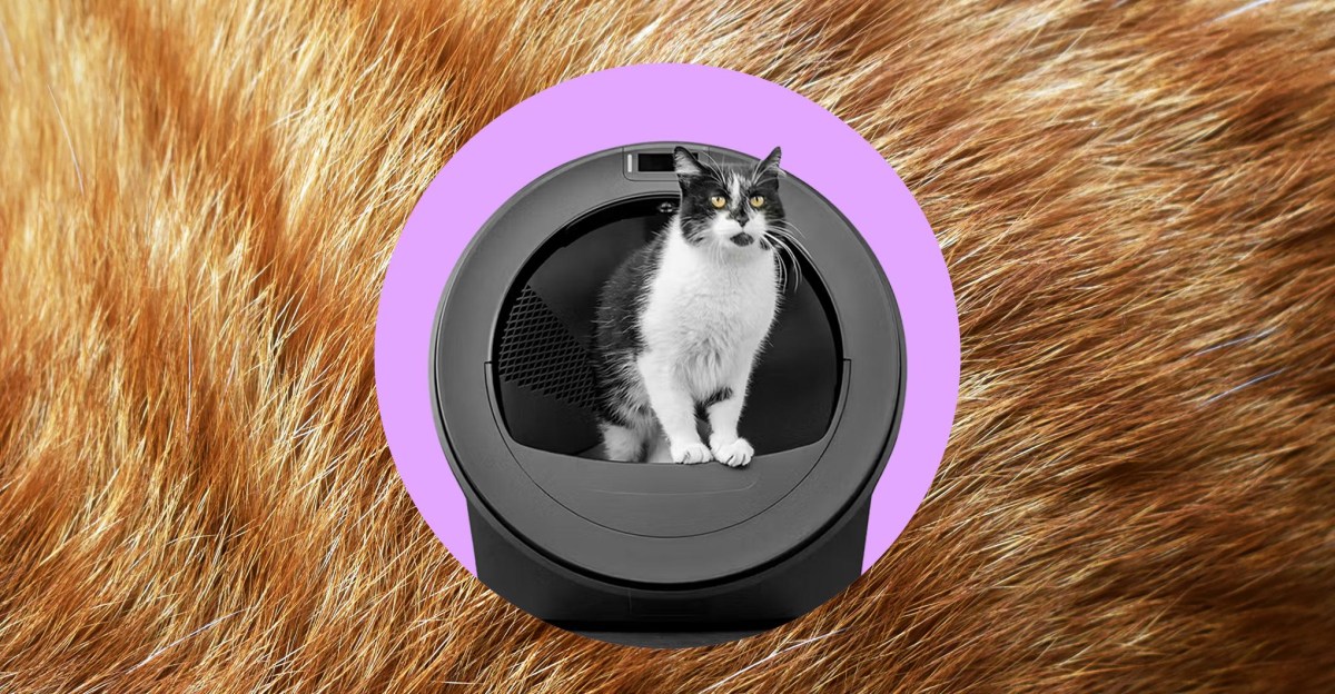 รีวิว Litter‑Robot 5 Pro: หุ่นยนต์ตักทรายแมวฉลาดขึ้น แต่ AI ยังหลุดบ่อย