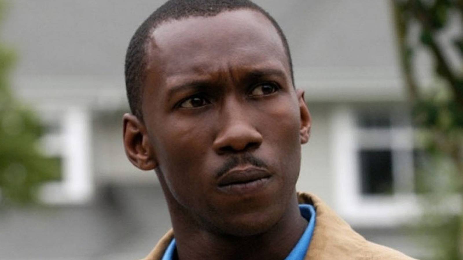 Blade ตายแล้ว แต่ผลงานไซไฟสี่ภาคของ Mahershala Ali ดูฟรีบน Tubi